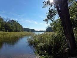 Rostki